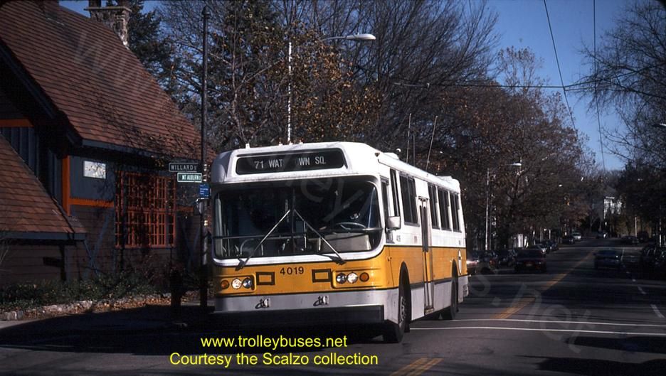 usa_m_bos_flyer_4019_mtauburnwillard_199612_ss.jpg