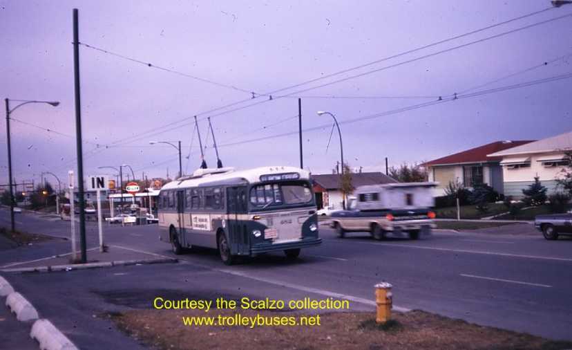 can_m_cgy_brill_482_3rtelbowseattle_ss.jpg