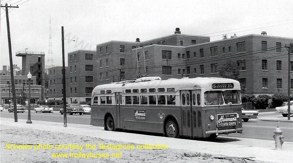 usa_m_cvg_sl_1244_linnliberty_scholesjt.jpg