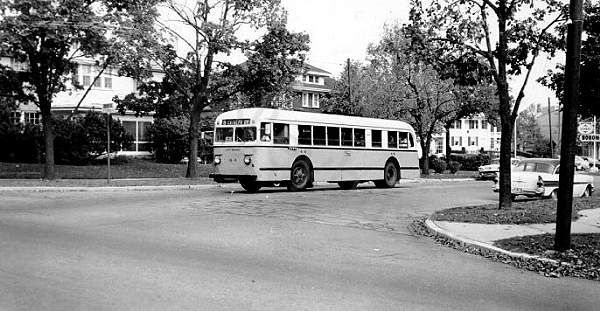 usa_m_day_brill_pr44_rt5otterbeincatalpa.jpg