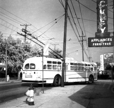 usa_m_day_mh_04_rt7mainredwood_rhkj.jpg