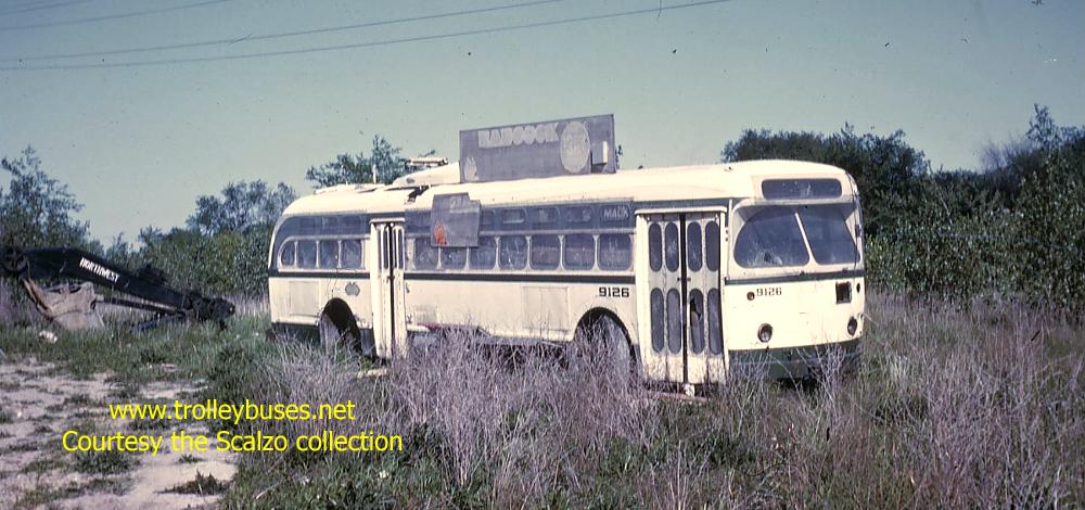 usa_m_det_sl_9126_13coolidgeroyaloak_196407_ss.jpg