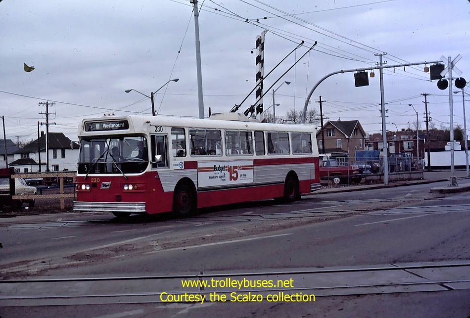 can_m_edm_flyer_230_197805_ss.jpg