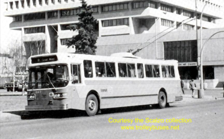 can_m_edm_flyer_244_southgateterm_01_1980_ss.jpg