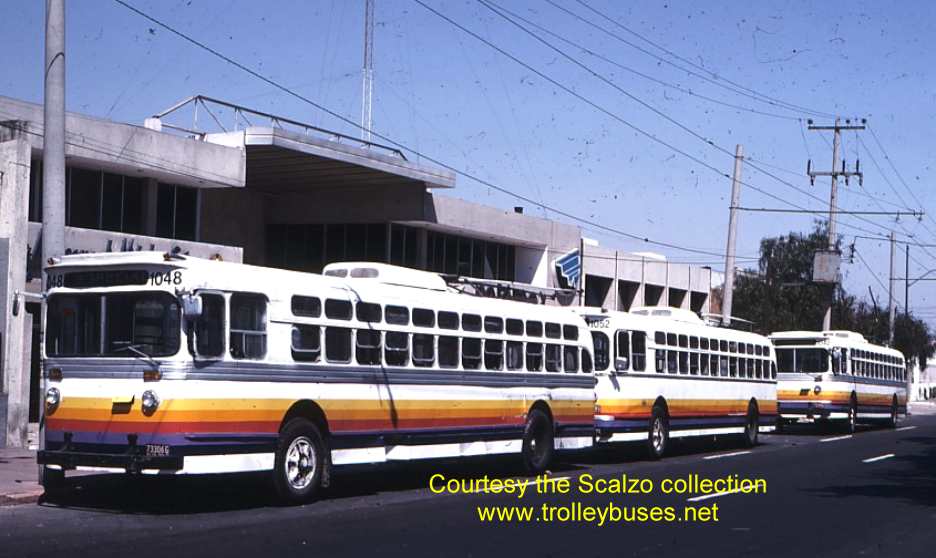 mex_m_gdl_mh_1048_ss.jpg