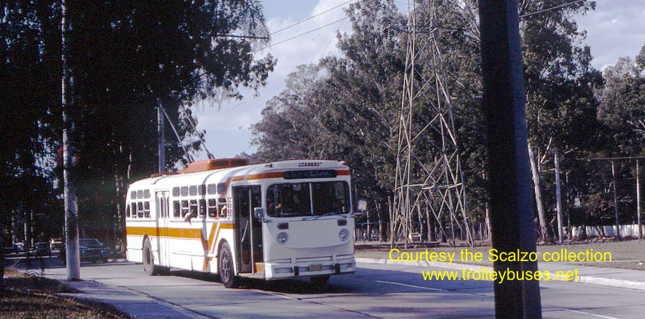 mex_m_gdl_mh_2007_gardenasarboledo_19771122_ss.jpg