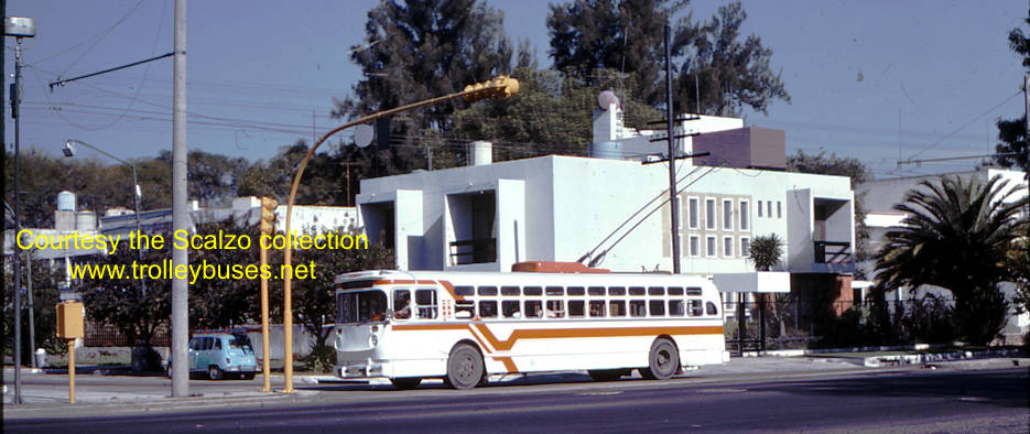 mex_m_gdl_mh_2007_mateosrosas_19771122_ss.jpg