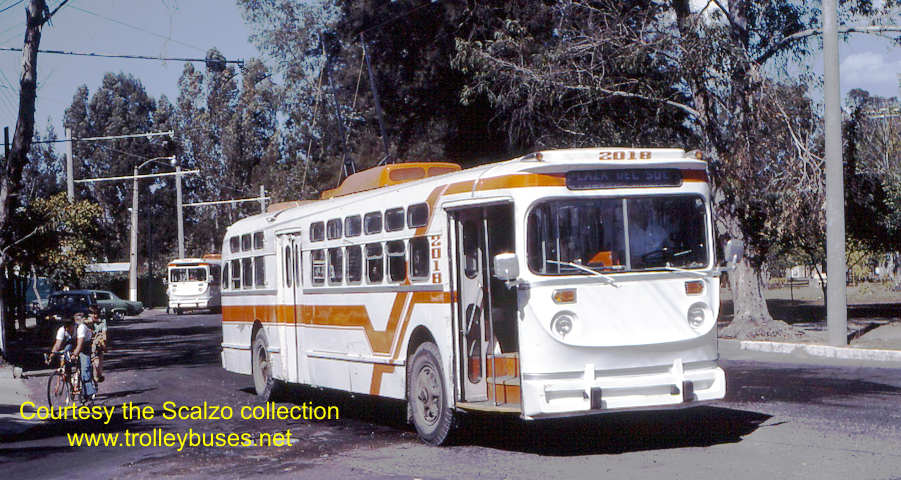 mex_m_gdl_mh_2018_ahuizotlmarinootero_19770201_ss.jpg
