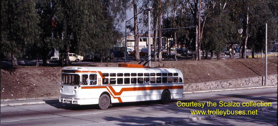 mex_m_gdl_mh_2029_gardenasarboledo_19771122_ss.jpg