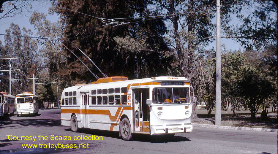 mex_m_gdl_mh_2049_ahuizotlmarinootero_19771122_ss.jpg
