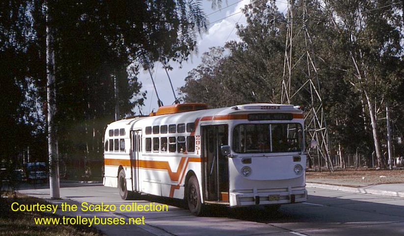 mex_m_gdl_mh_2051_gardenasarboledo_19771123_ss.jpg