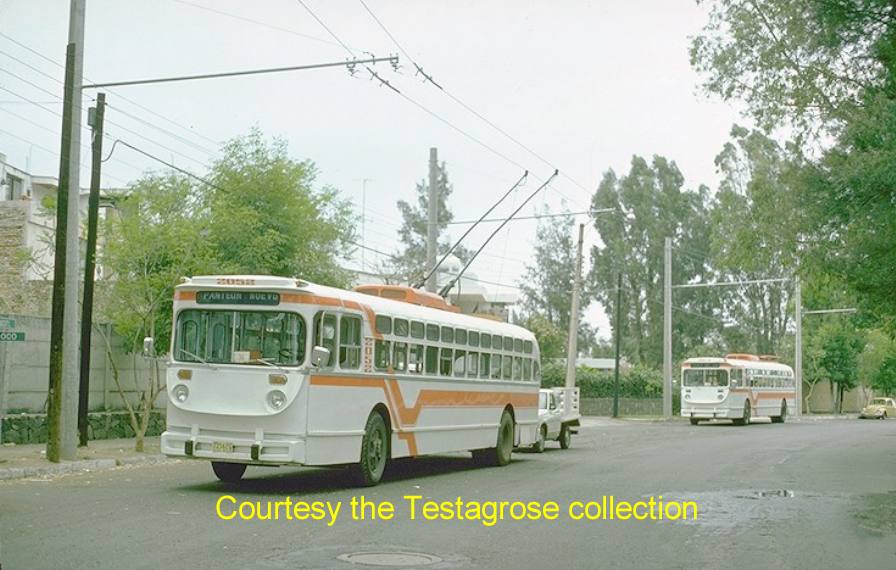mex_m_gdl_mh_2052_ahuizotltexcoco_19770411_jt.jpg