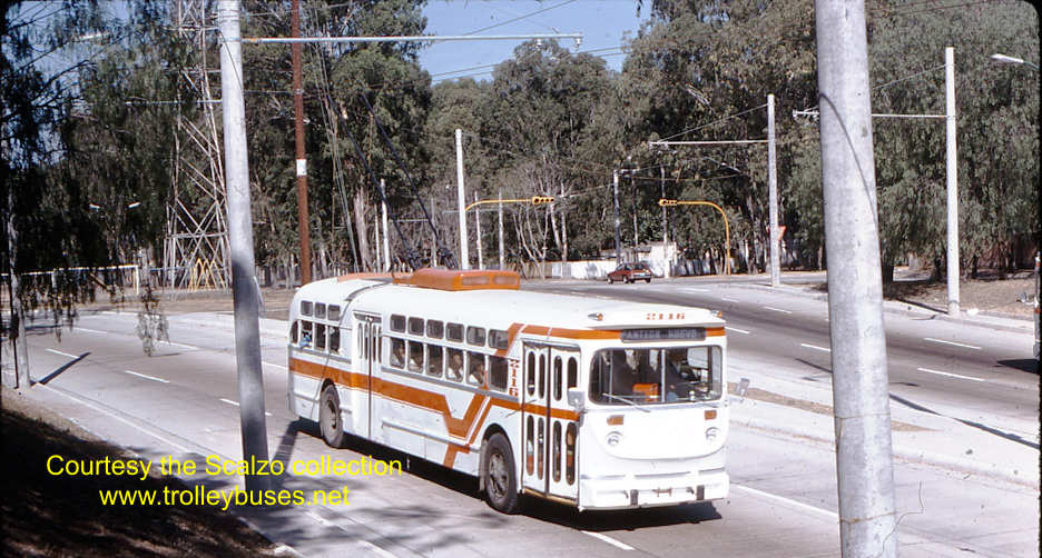 mex_m_gdl_mh_2116_cardenasarboledo_19770201_ss.jpg