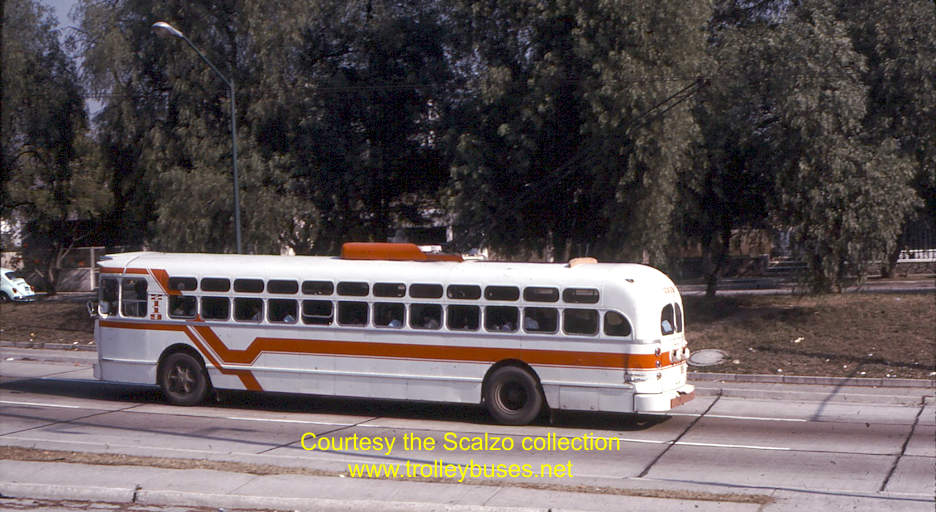 mex_m_gdl_mh_2119_gardenasarboledo_19771122_ss.jpg