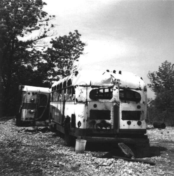 usa_m_ilg_brill_28_rhill.jpg