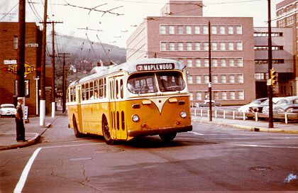 usa_m_jst_brill_731_washingtonwalnut_19600611_bv.jpg