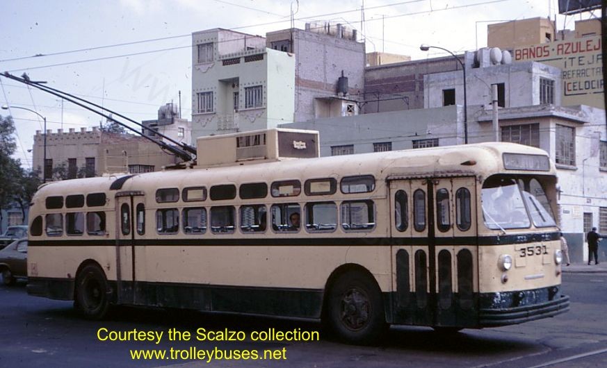mex_m_mex_mh_3531_roblesdenoecalzcrudalupe_19680724_ss.jpg