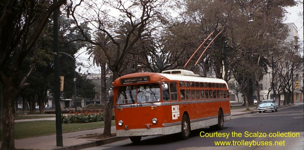 mex_m_mex_mh_3616_sonoraparquemexico_19721122_ss.jpg