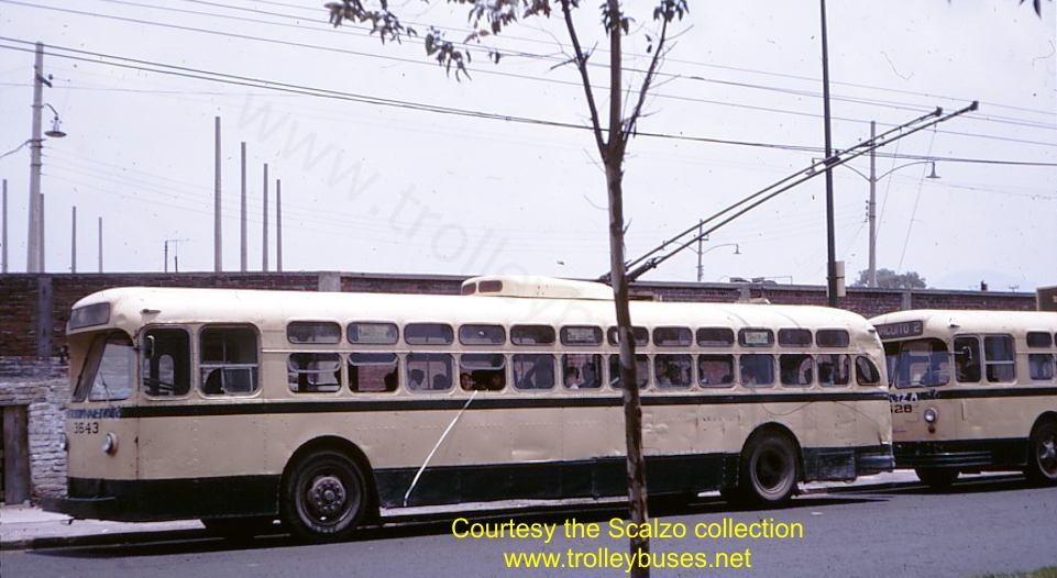 mex_m_mex_mh_3643_cuitlahuaecamarones_19680724_ss.jpg