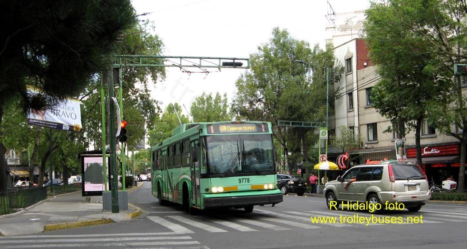 mex_m_mex_mits_9778_sonoranuevoleon_20120523_rhid_07.jpg