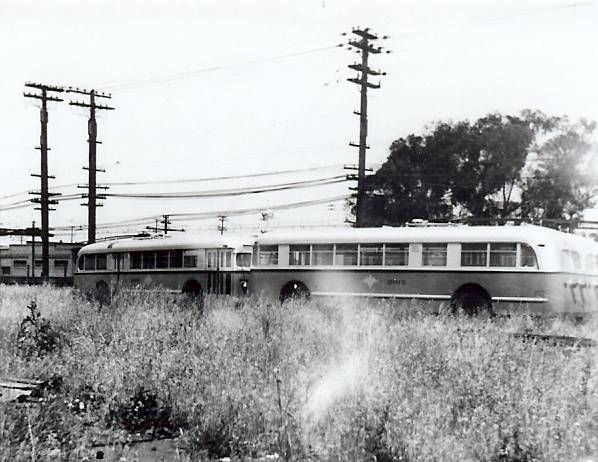 usa_m_oak_brill_01_1946_cameronbeach.jpg