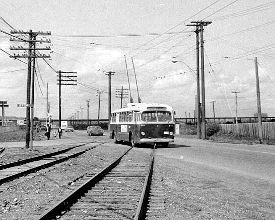 can_m_pta_brill_03.jpg