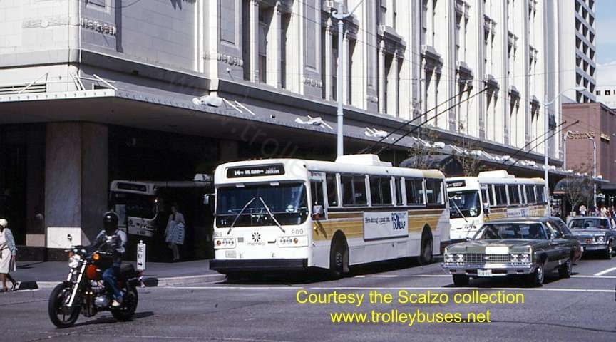 usa_m_sea_amg_909_pine5th_19810904_ss.jpg