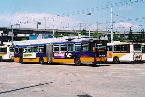 usa_m_sea_gillig_01.jpg