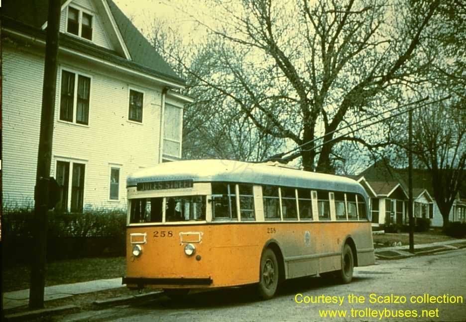 usa_m_stj_brill_258_sylvanie31steb_02_ss.jpg