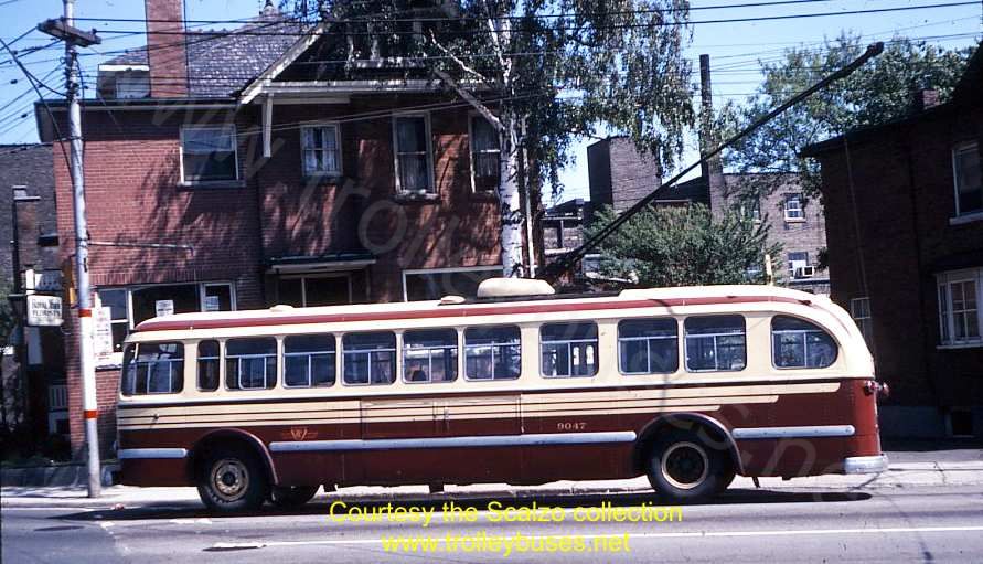 can_m_tor_brill_9047_annettekeele_19700529_ss.jpg