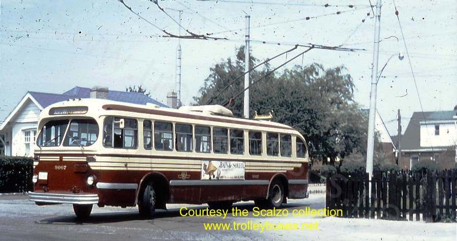can_m_tor_brill_9067_roeloop_1966_ss.jpg