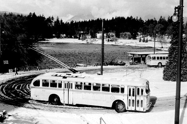 can_m_van_brill_06.jpg
