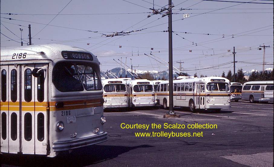 can_m_van_brill_2186_yardshot_19830413_ss.jpg