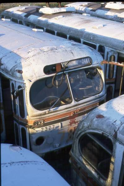 can_m_van_brill_2327_surrey.jpg
