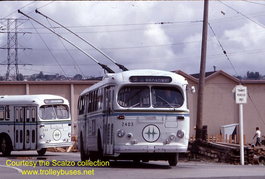 can_m_van_brill_2403_19680618_ss.jpg