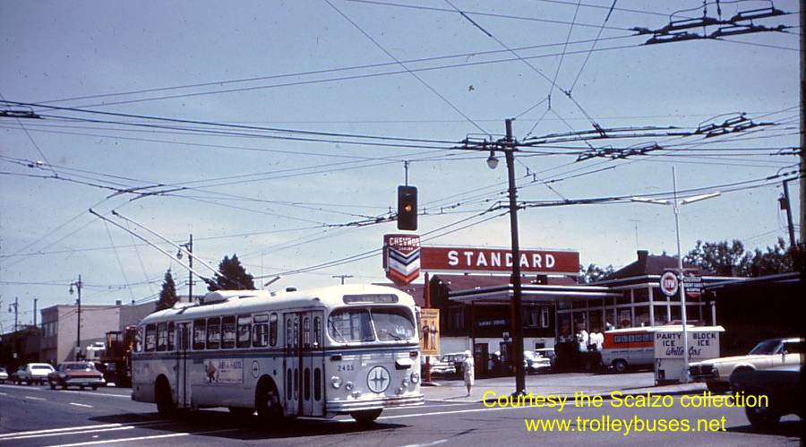 can_m_van_brill_2405_196807_ss.jpg
