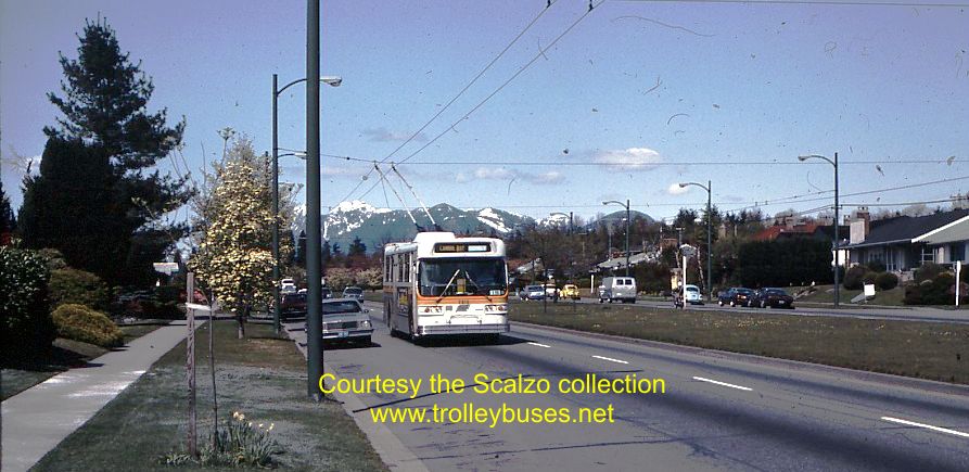 can_m_van_flyer_2615_19830413_ss.jpg