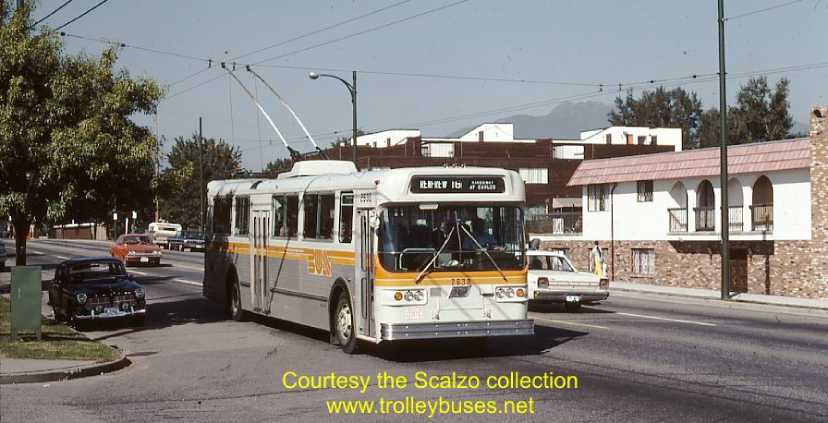 can_m_van_flyer_2630_197610_ss.jpg